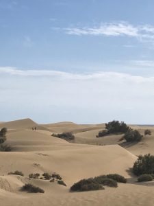 dune de maspalomas